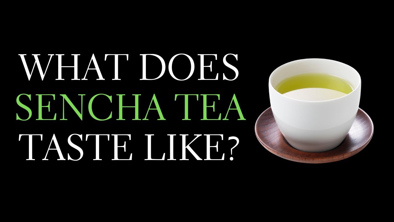 What Does Japanese Green Tea Taste Like Describing The Sencha Taste What Does Japanese Green Tea Taste Like Describing The Sencha Taste