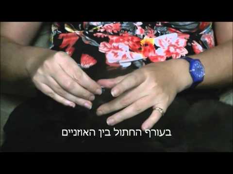 וִידֵאוֹ: האם טיפולי פרעושים לכלבים וחתולים בטוחים?