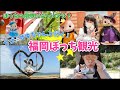 【シルバニアファミリー】ちび☆ザキちゃんと行く！福岡ぼっち観光【vlog#69】