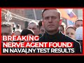 Nerve agent Novichok found in Russia's Alexey Navalny: Germany