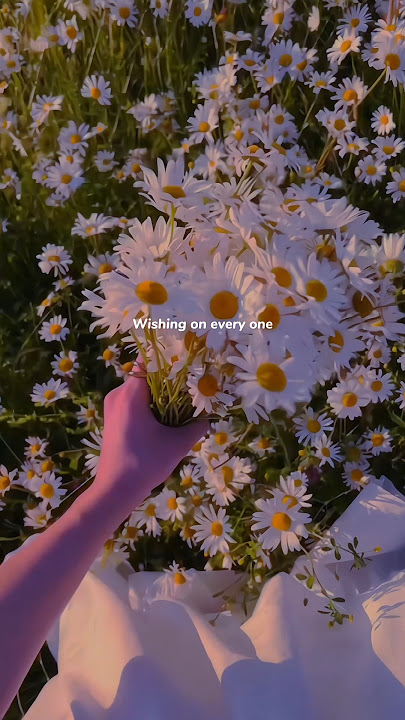 Dandelions - Ruth B | lyrics | aesthtic | Whatsapp Status | slowed | sped up | #shorts