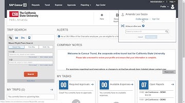Assigning a Delegate in Concur