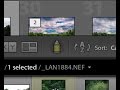 #Lightroom Quick Tips Episode 13: The Painter Tool AKA The Spray Can