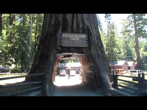 California Humboldt Redwoods State Park Youtube