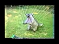 BEST FUNNY ANIMALS COMPILATION 2013 2014 Лучшая нарезка видео с животными