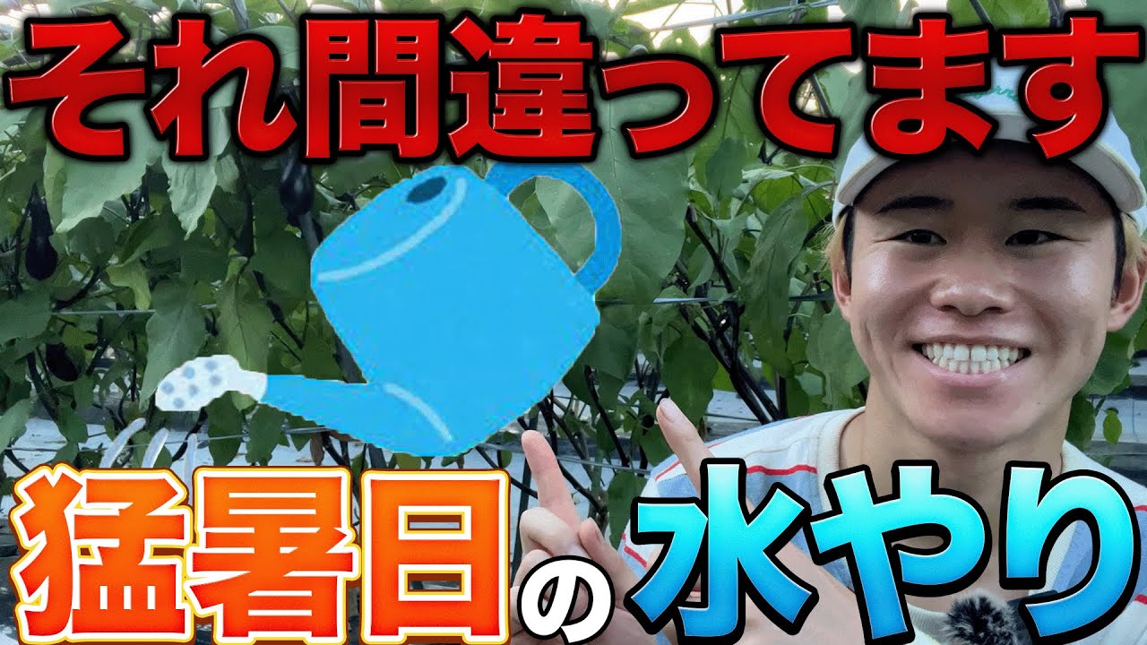 ❀そるまるす❀荒天・猛暑日は植物発送不可専用　4種 RM43 1 gal. Total Vegetation Control Weed Preventer Concentrate