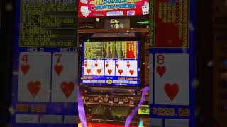 Straight Flush Landed 