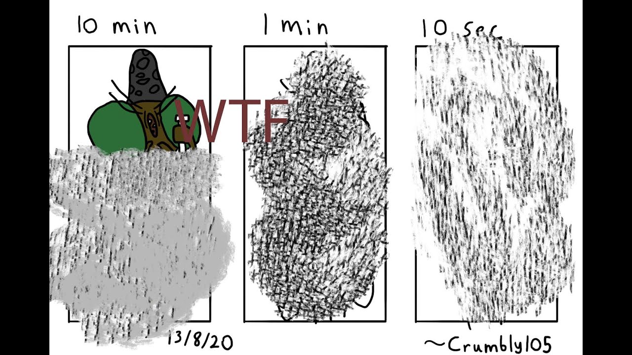10 minute 1 minute 10 Second Challenge Stockman Fly (Teenage Mutant ...