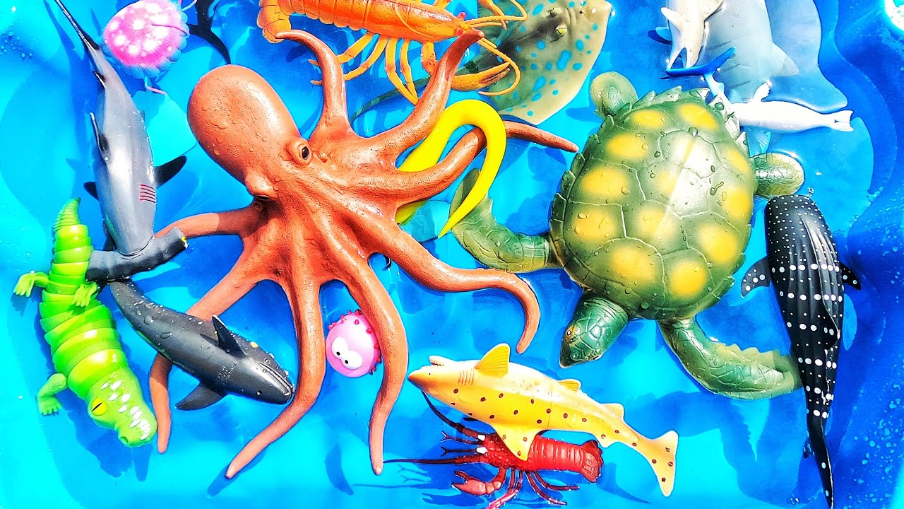 Learn sea animal names & facts for babies toddlers kindergarteners kids ...