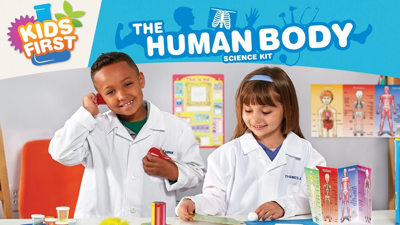 The Human Body Kids First STEM Introductory Science Toy Thames Kosmos –  Thames & Kosmos