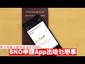 用App申請 BNO Visa點解會出一堆奇怪事情 黃世澤幾分鐘 #評論  20210223