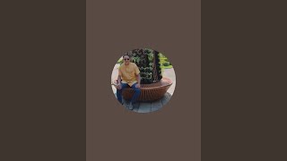 Live: Daily Math Calculation Study | နေ့စဉ် သင်္ချာတွက်ချက်မှု လေ့လာရေး