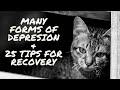 Many Forms of Depression and 25 Tips for Recovery