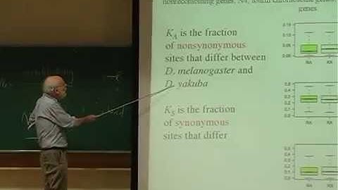 Brian Charlesworth - Linkage and selection