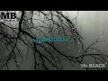 Thaliraninjoru wats app status Whatsapp Status Video Download Free