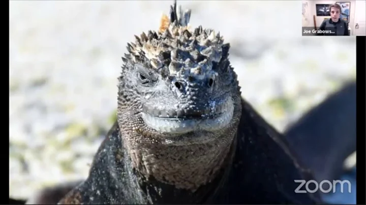 Joe Grabowski | The Wonders of the Galapagos