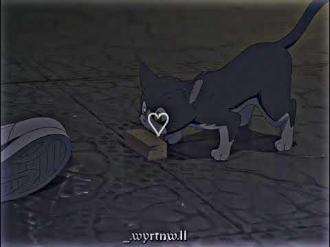 Кота город в индии. Fairy animals aesthetic котики. Дворы кусты и лишь коты со мной. Дворы кусты и лишь коты со мной. Дворы кусты и лишь коты со мной на ты.