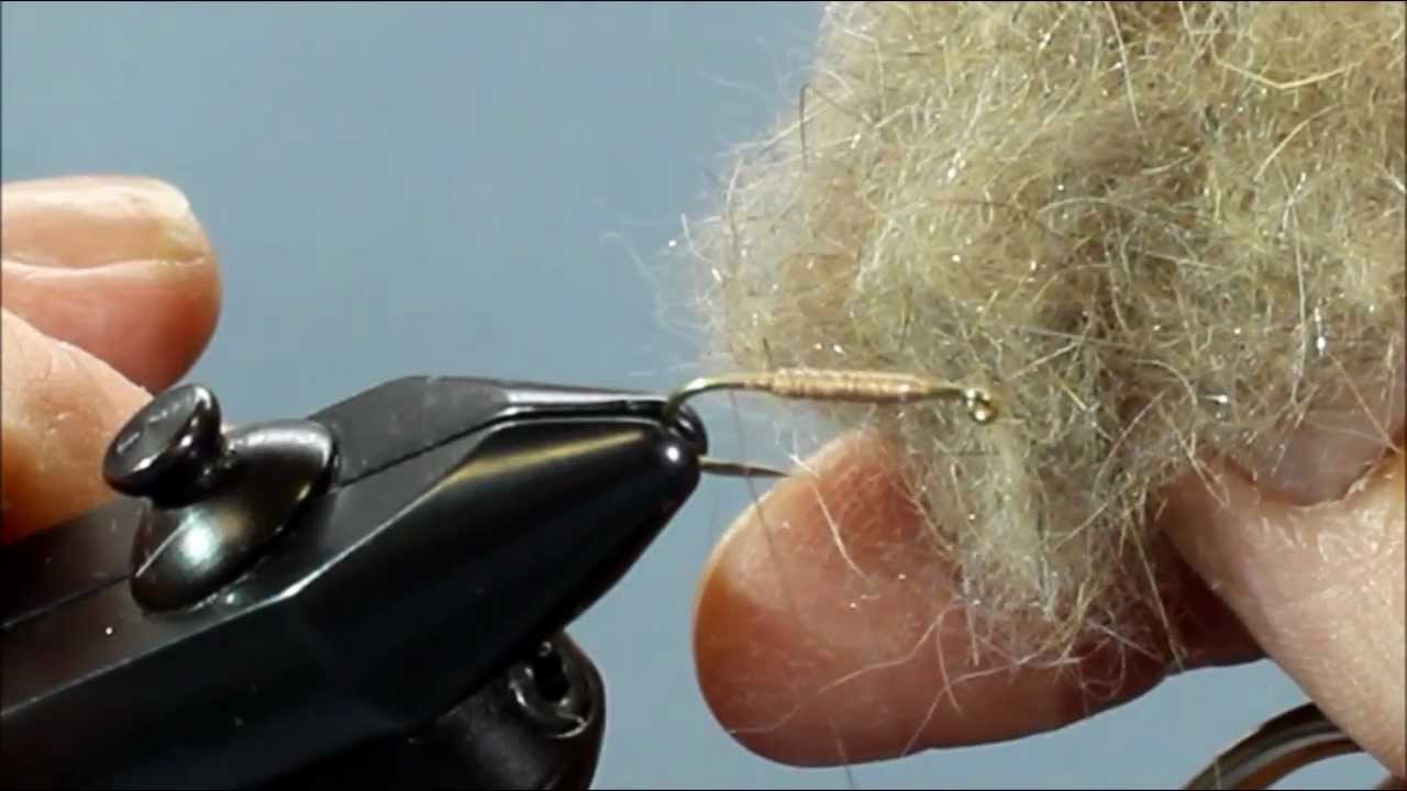 Walsh Insect Walts Worm - YouTube