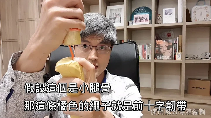 膝盖前十字韧带 结构介绍 - 天天要闻