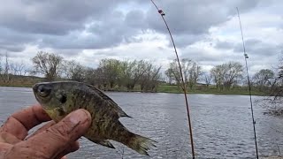 Pescador nos revela su secreto para atrapar grandes peces!