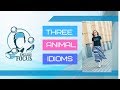 Three Animal Idioms