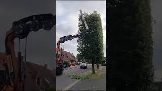 Famous What do you think about the new tree pruning machine? Net Worth