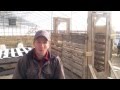 DIY escape-proof chicken gate DIY escape-proof chicken gate