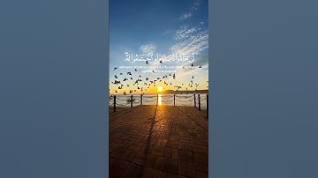 القران الكريم راحه نفسية 😌 تلاوة خاشعة ومؤثرة الشيخ ياسر الدوسري لا اله الا الله