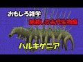 おもしろ雑学（音声入り）　絶滅した古代生物編①　ハルキゲニア【こたっちゃんねる】