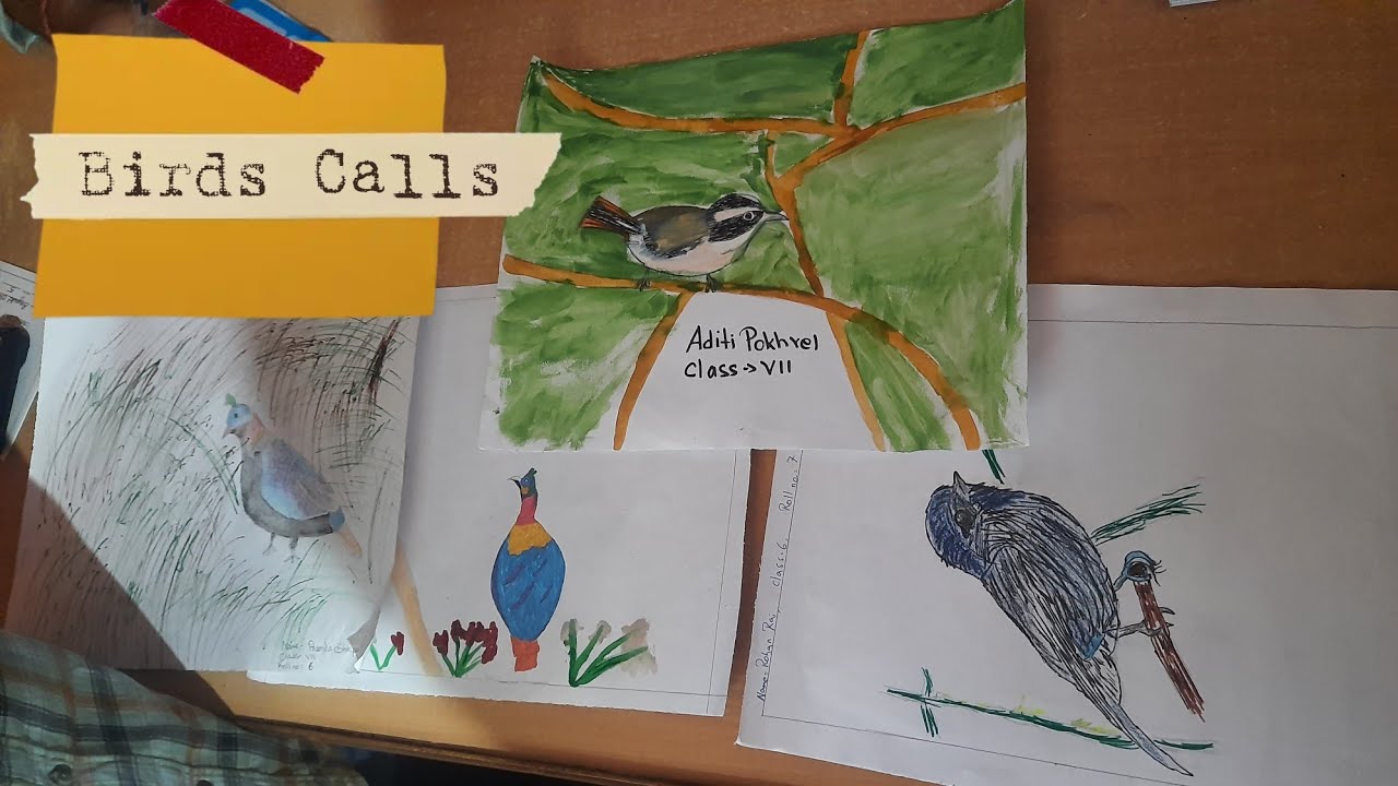 Birds Calls around my home Sikkim, India 🇮🇳