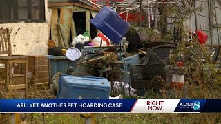 21 dogs, 5 cats rescued from feces-filled home in Des Moines