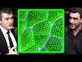 Photosynthesis Explained | Nick Lane and Lex Fridman