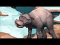 Middle of video