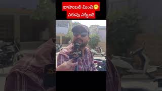 Salaar Public Talk | Salaar Public Review | Salaar Movie Review | Prabhas | Madanapalli Masthi