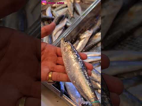 توضيح مهم بالنسبة لفترة ديال شواية السردين