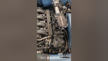 Over 6 Ford Coyote Engine Builds In The Maxlider Brothers Shop!