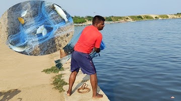Unbelievable Cast Net Fishing - Fisherman vs River Catch Netting