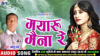 Bablu Bande | Cg Song | Mayaru Maina Re | New Chhattisgarhi Gana | 2022 | AVM STUDIO RAIPUR