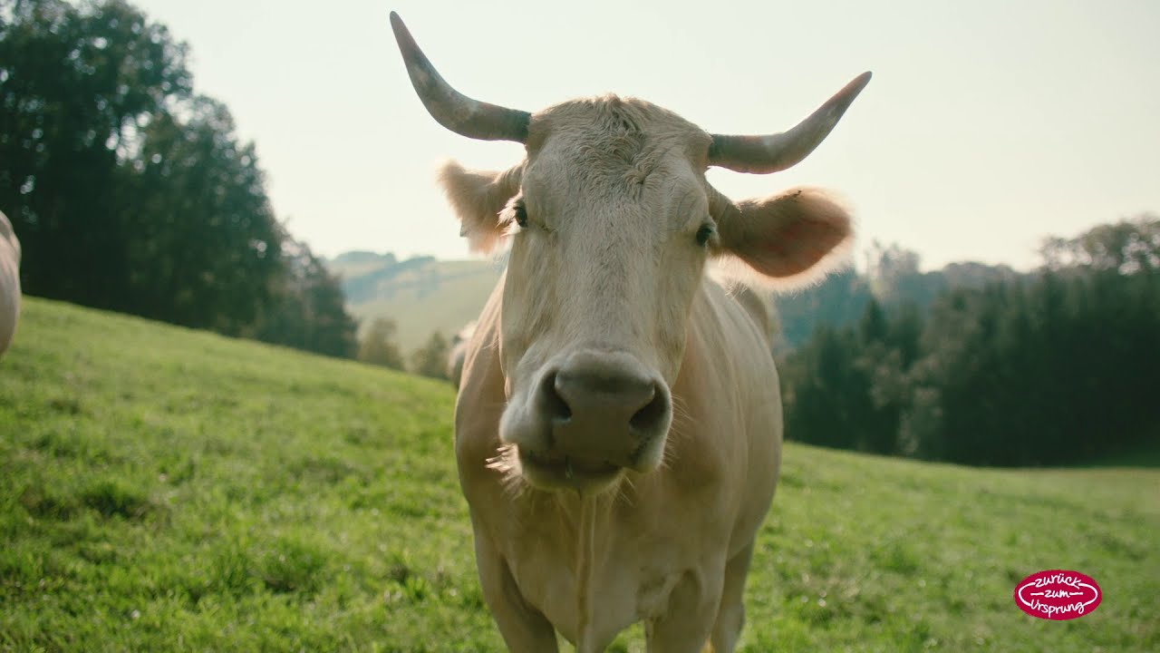 Qualität kommt nicht von irgendwo.