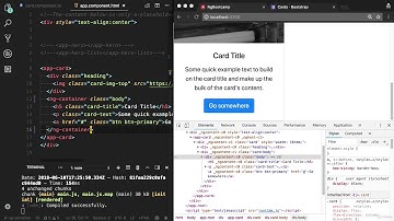 Learning Angular 7 from scratch - Part 3-9 - ng container