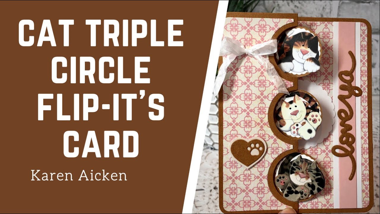 Cat Triple Circle Flip Its