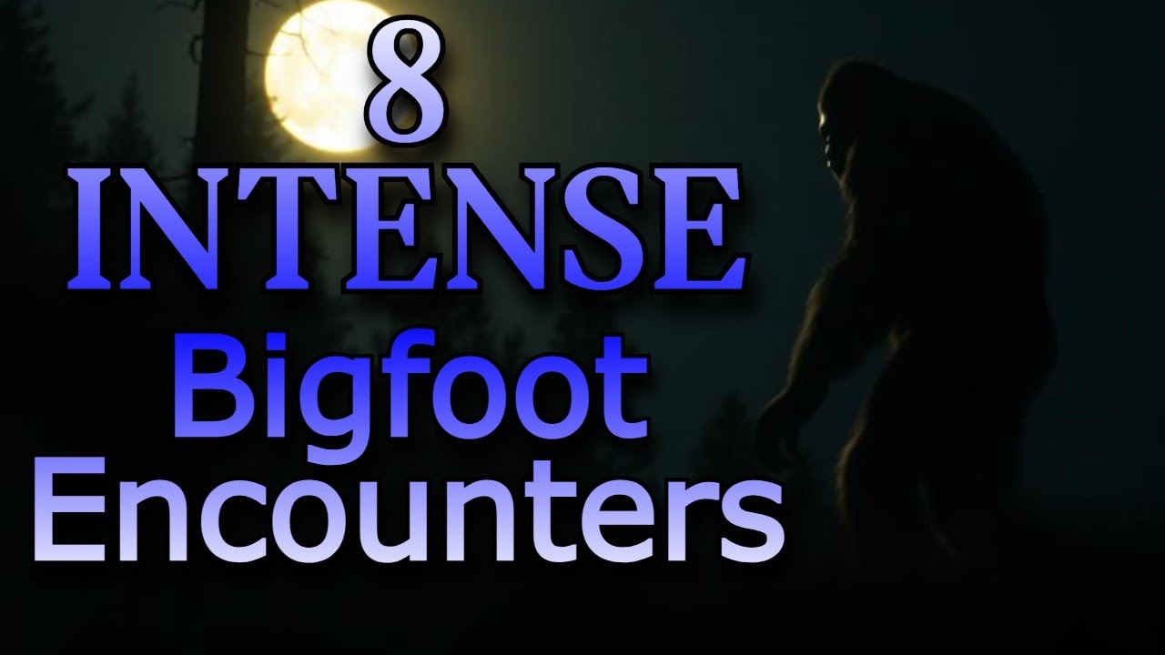 8 Intense Bigfoot Encounter Stories