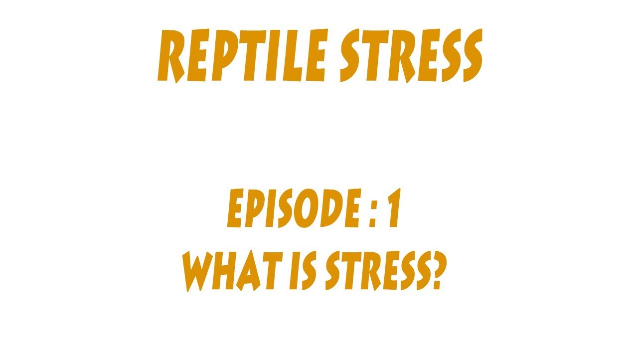 endocrine system S'N'A Reptile Stress series: Part 1