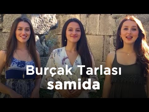 Samida - Burçak Tarlası