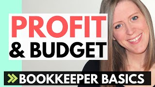 PROFIT margin for a bookkeeping business: BUDGET with income & expenses