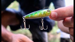 FRESH WATER FISHING FOR AUSTRALIAN BASS!