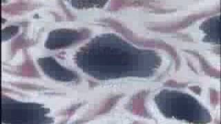 all the tecniques of the gold saints