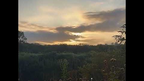 تلاوه من سورة النور بصوت يريح القلب||حالات واتس أب