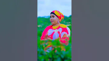DHAANTO CUSUB Dhaanto Duet Wararkiiugudambeeyey Unfrezzmyaccount Love Sabboontuuwallaggaalixa 