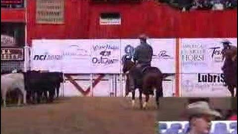 2007 NCHA Futurity Open